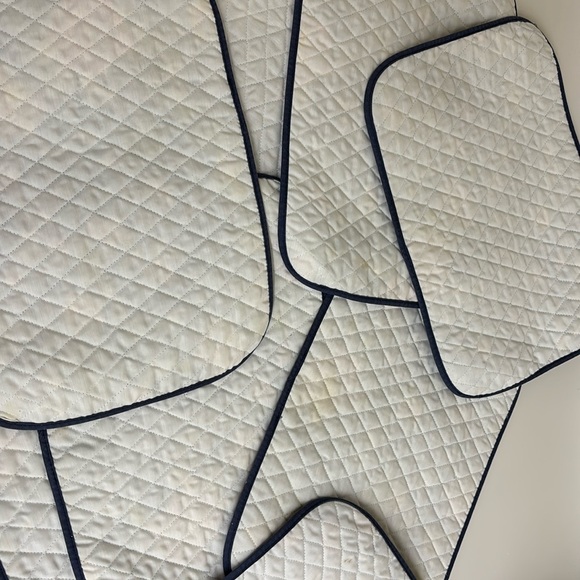 Set of 10 Quilted Fabric Blue Floral Placemats W/ Matching NeverUsed Napkins - Picture 13 of 16